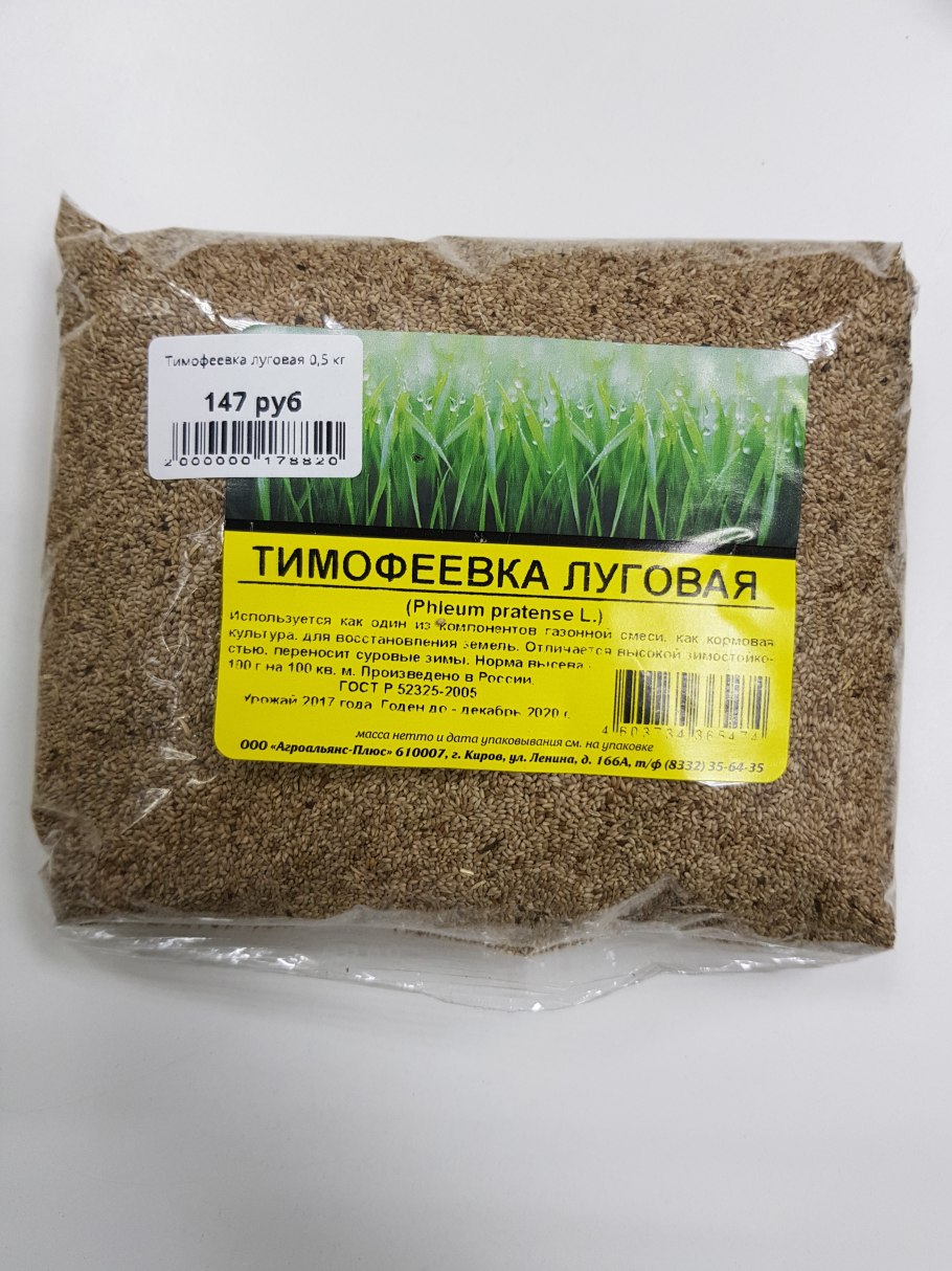 Раскраска растение Тимофеевка