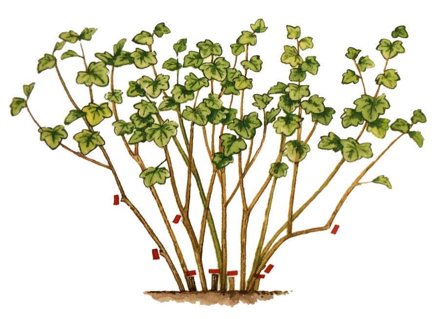 Крючки Gamakatsu LS-1100b