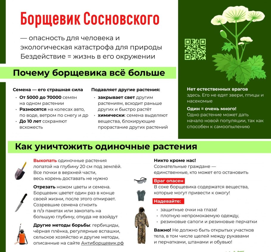 Осторожно ядовитые растения для детей