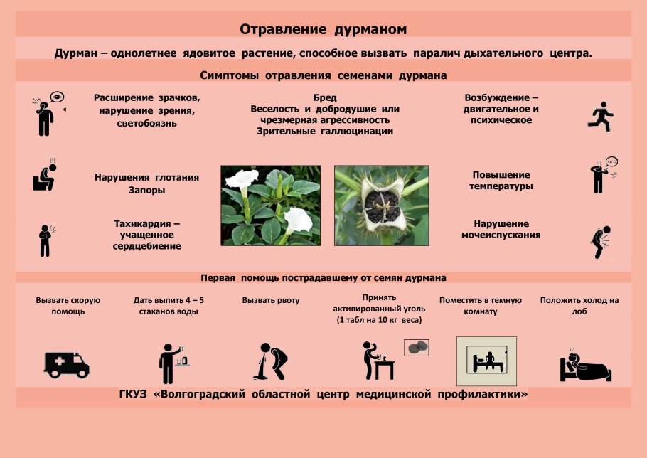 Опасные растения России