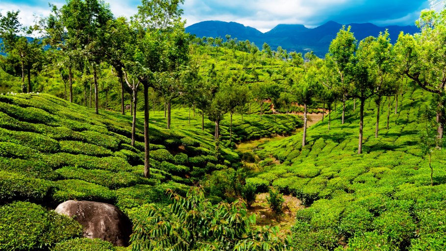 Индия ландшафт