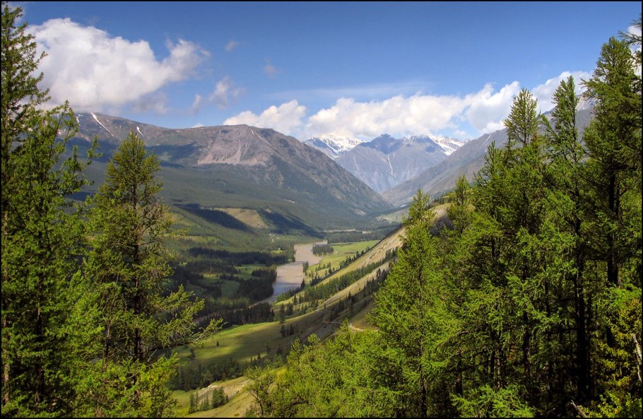 Сибирь Тайга Алтайские горы