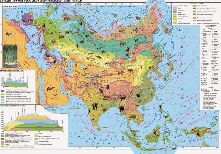 Карта природных зон Евразии