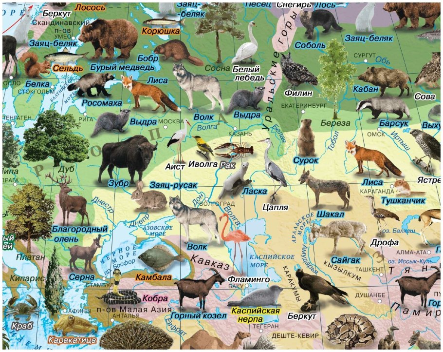 Животные России на карте