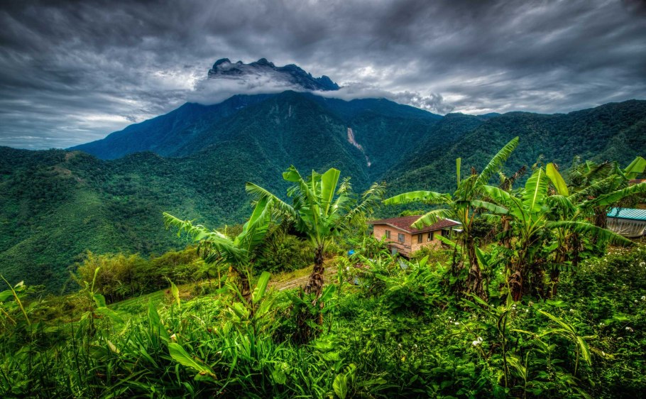 Национальный парк Кинабалу Малайзия