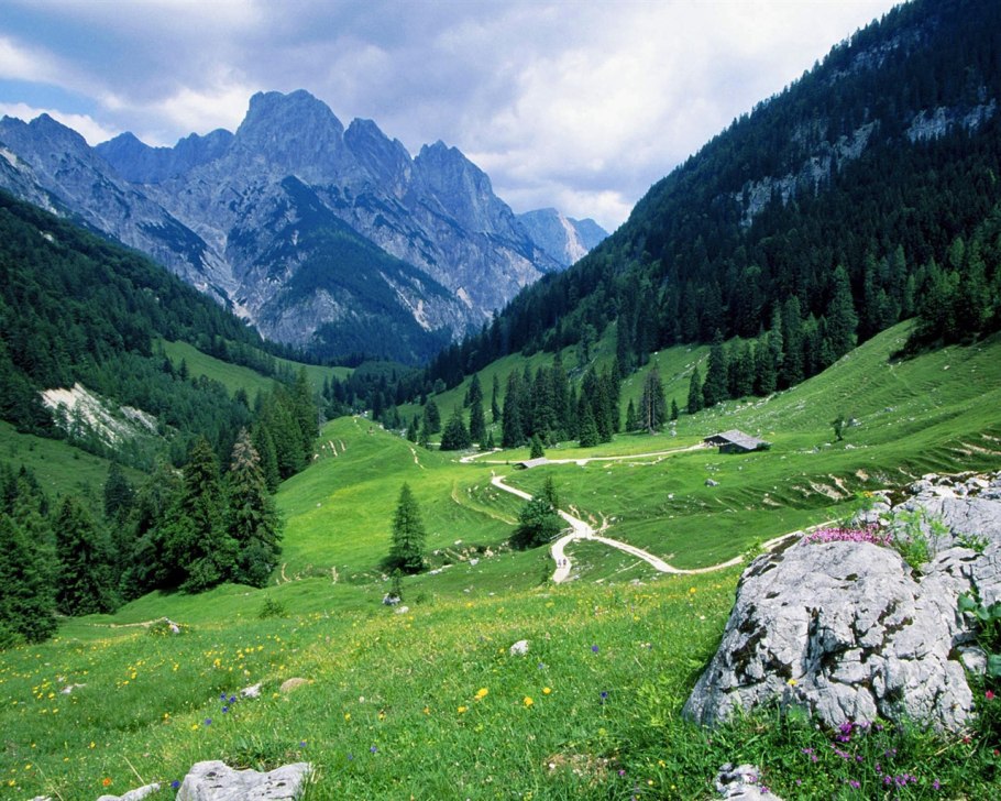 Альпийские Луга Германии