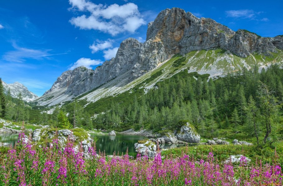 Альпийские Луга Альпы