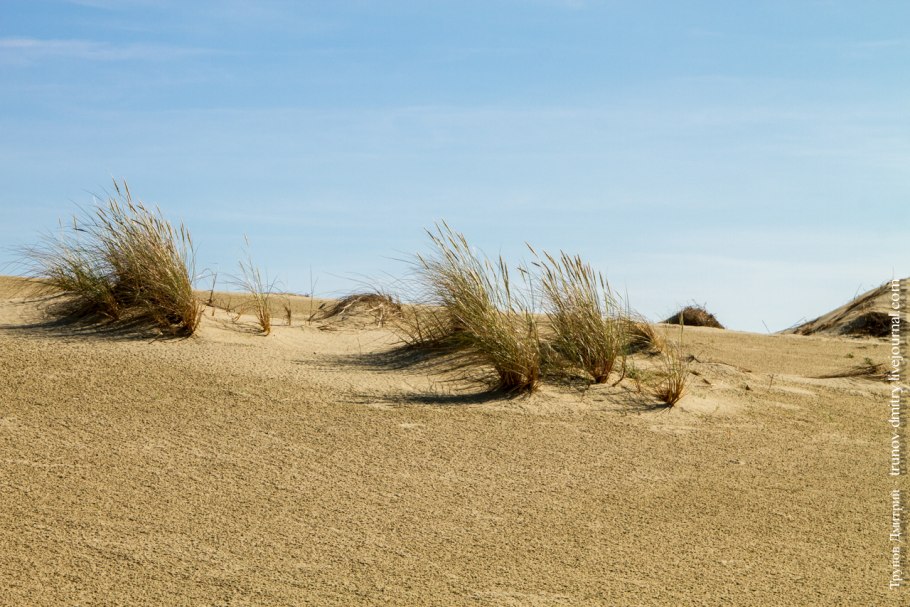 Жаркаинский район Акмолинской области