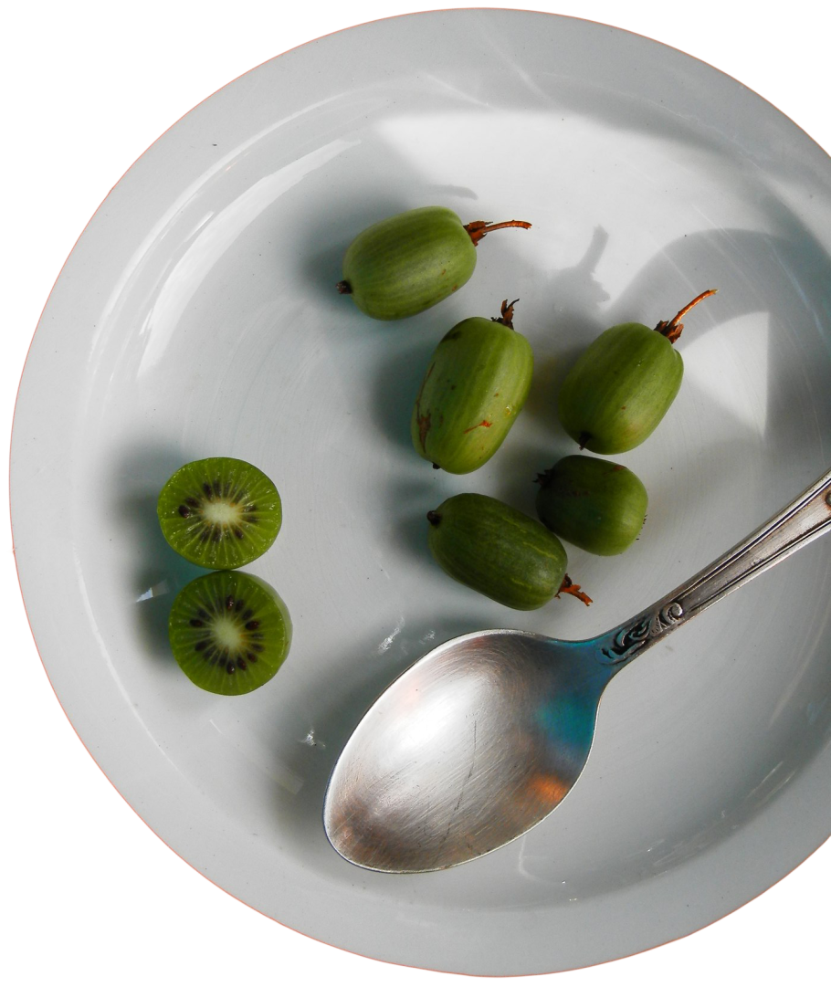 Актинидия Кокува