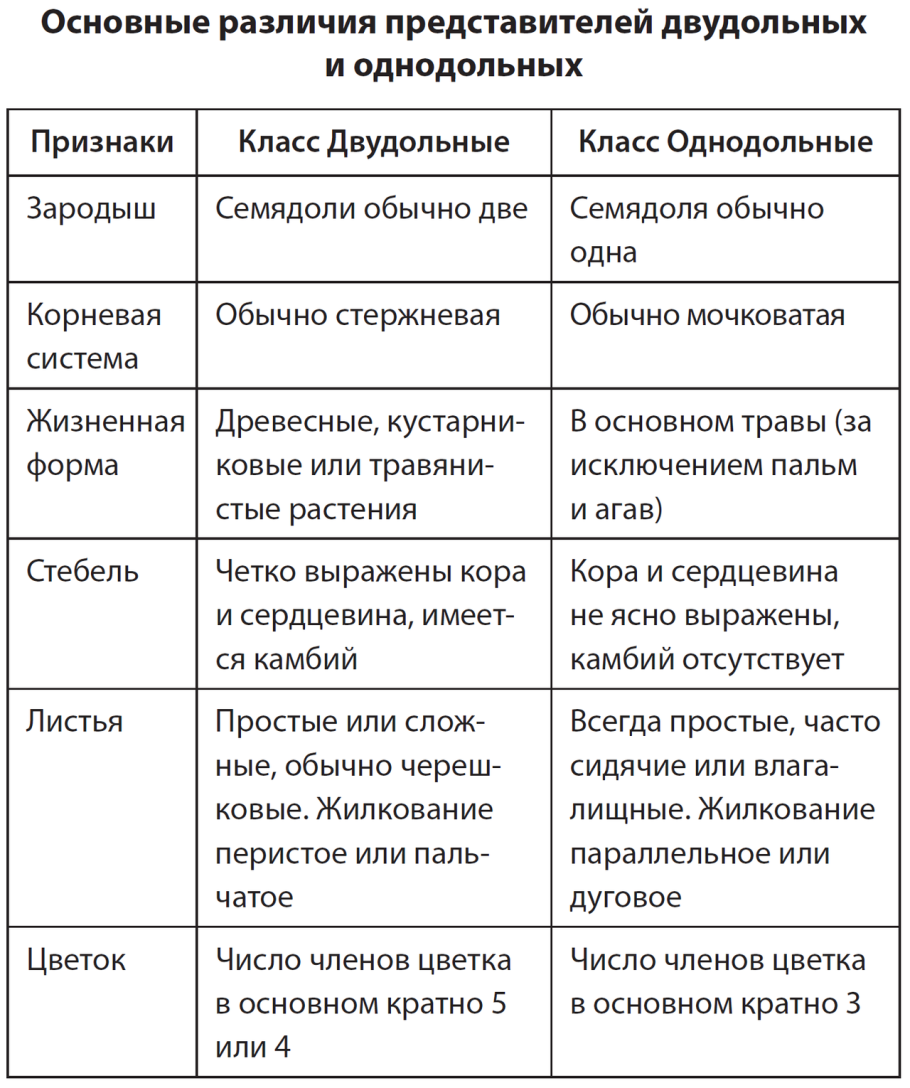 Однодольные и двудольные растения признаки таблица
