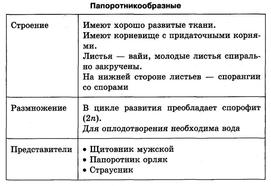 Папоротники особенности строения и размножения таблица
