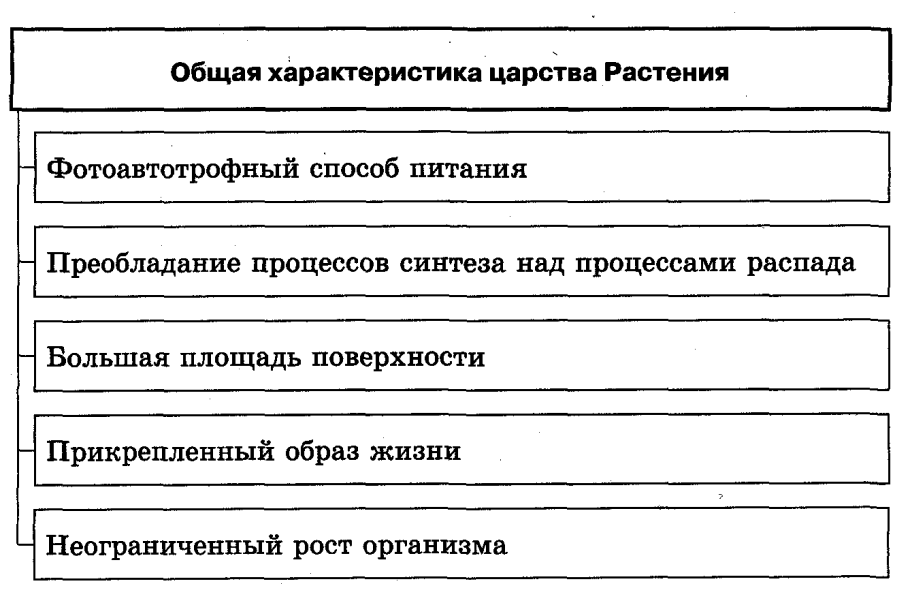 Общая характеристика царства растений