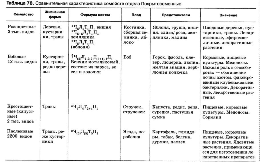 Таблица характеристика семейств двудольных
