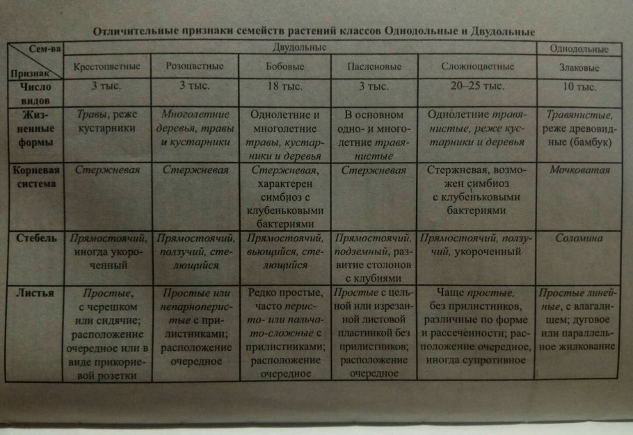 Характеристика семейств двудольных растений таблица
