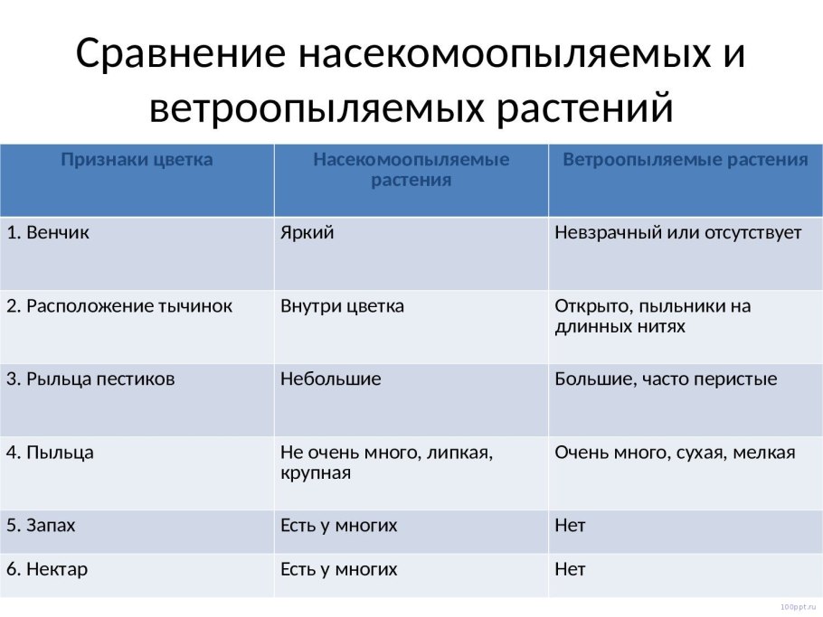 Признаки опыления растений таблица