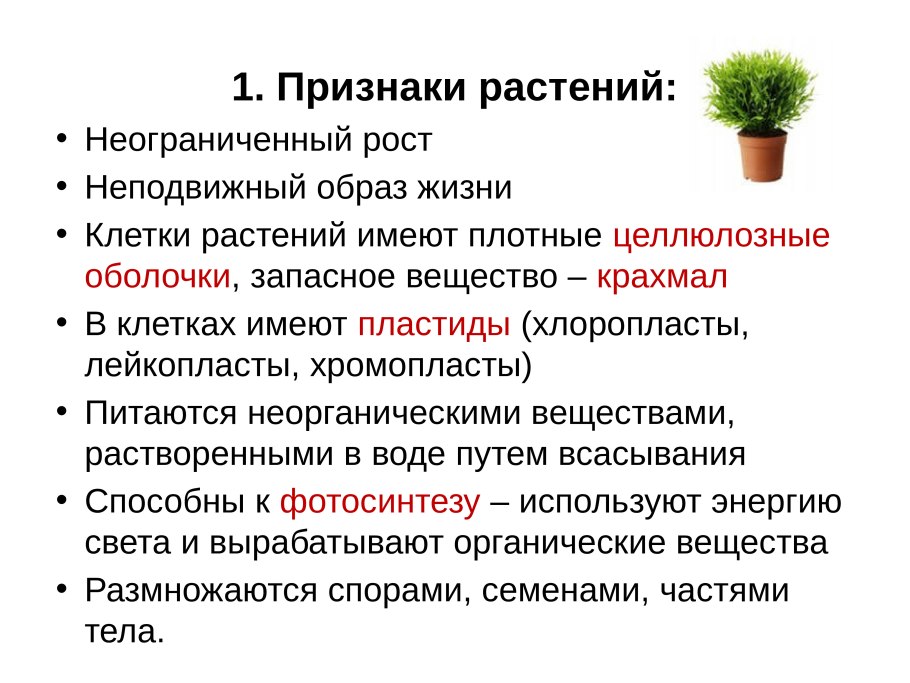 Выберите признаки растений