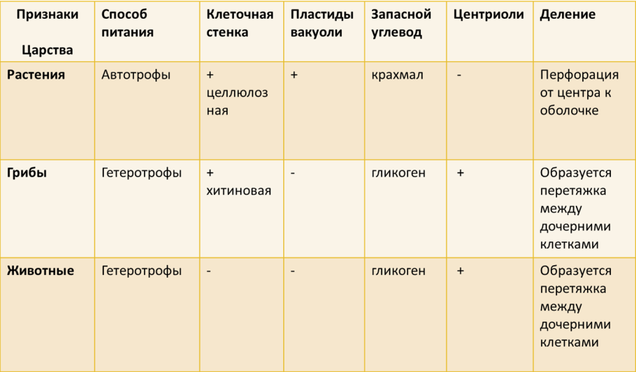 Таблица царства живой природы