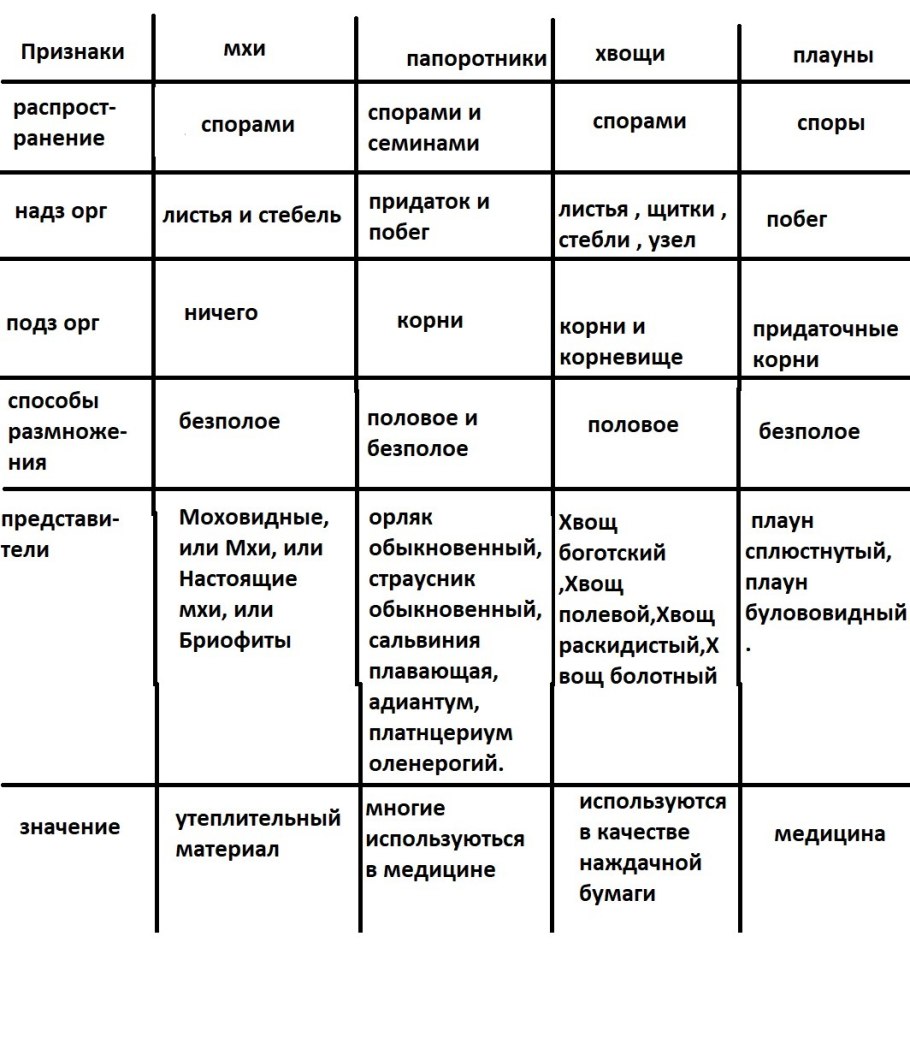 Характеристика плаунов хвощей и папоротников таблица