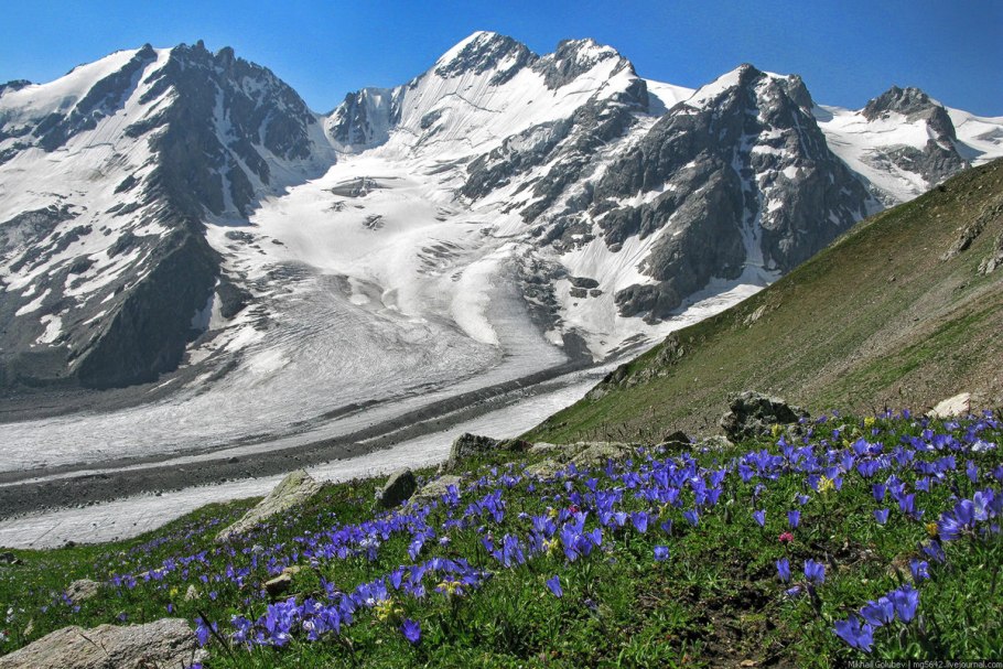 Северная Осетия горы Альпийские Луга