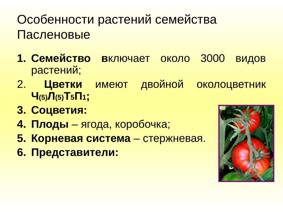 Горчица крестоцветные