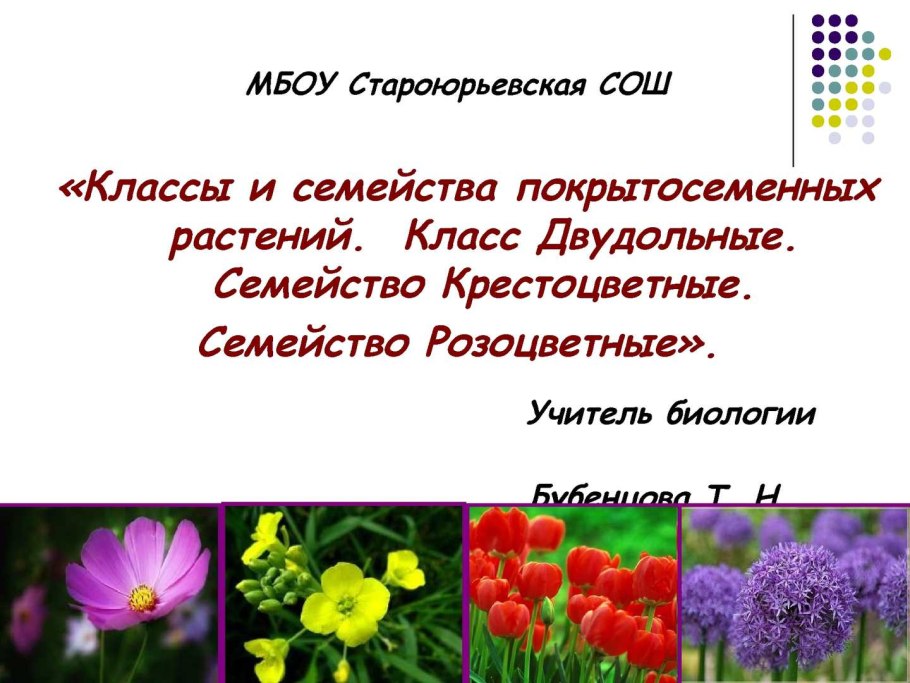Сухие коробочковидные плоды