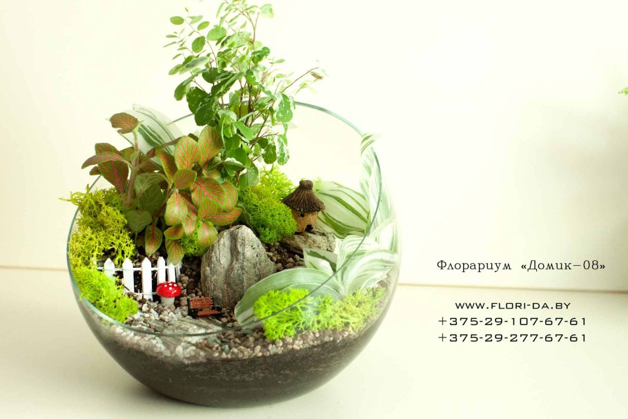 Флорариум визитка