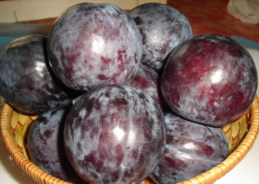 Слива Узбекистан