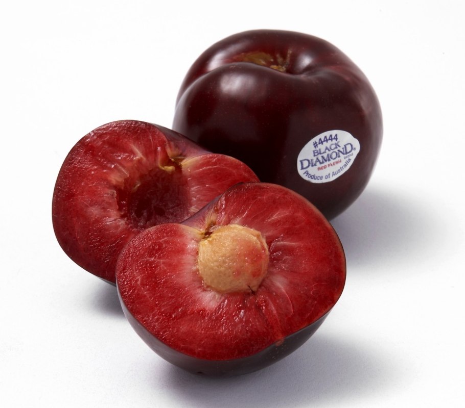 Слива тернослива гордость Сибири