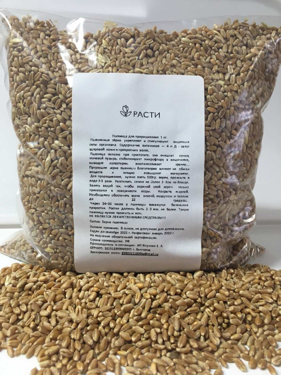 Сорт пшеницы Собербаш