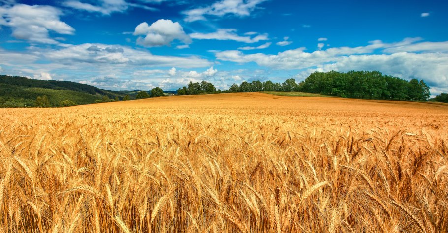 Холодильник Toshiba gr-rt565rs(LS)