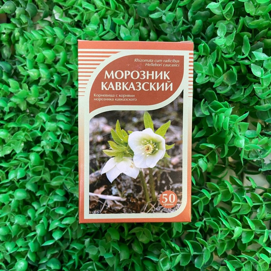 Весенние цветы морозник