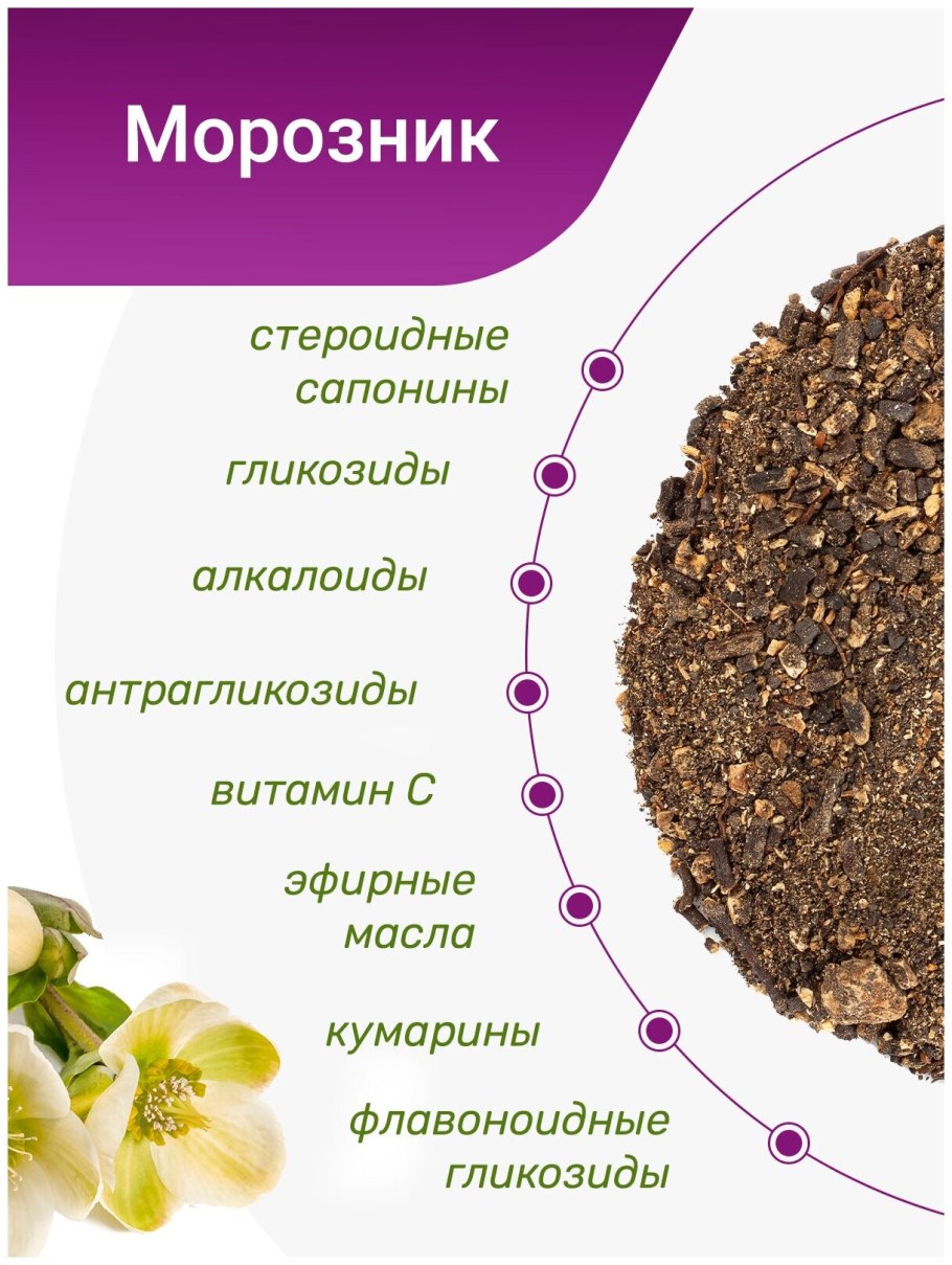 Морозник геллеборус