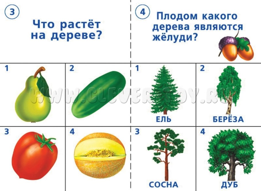 Лото "что где растет"