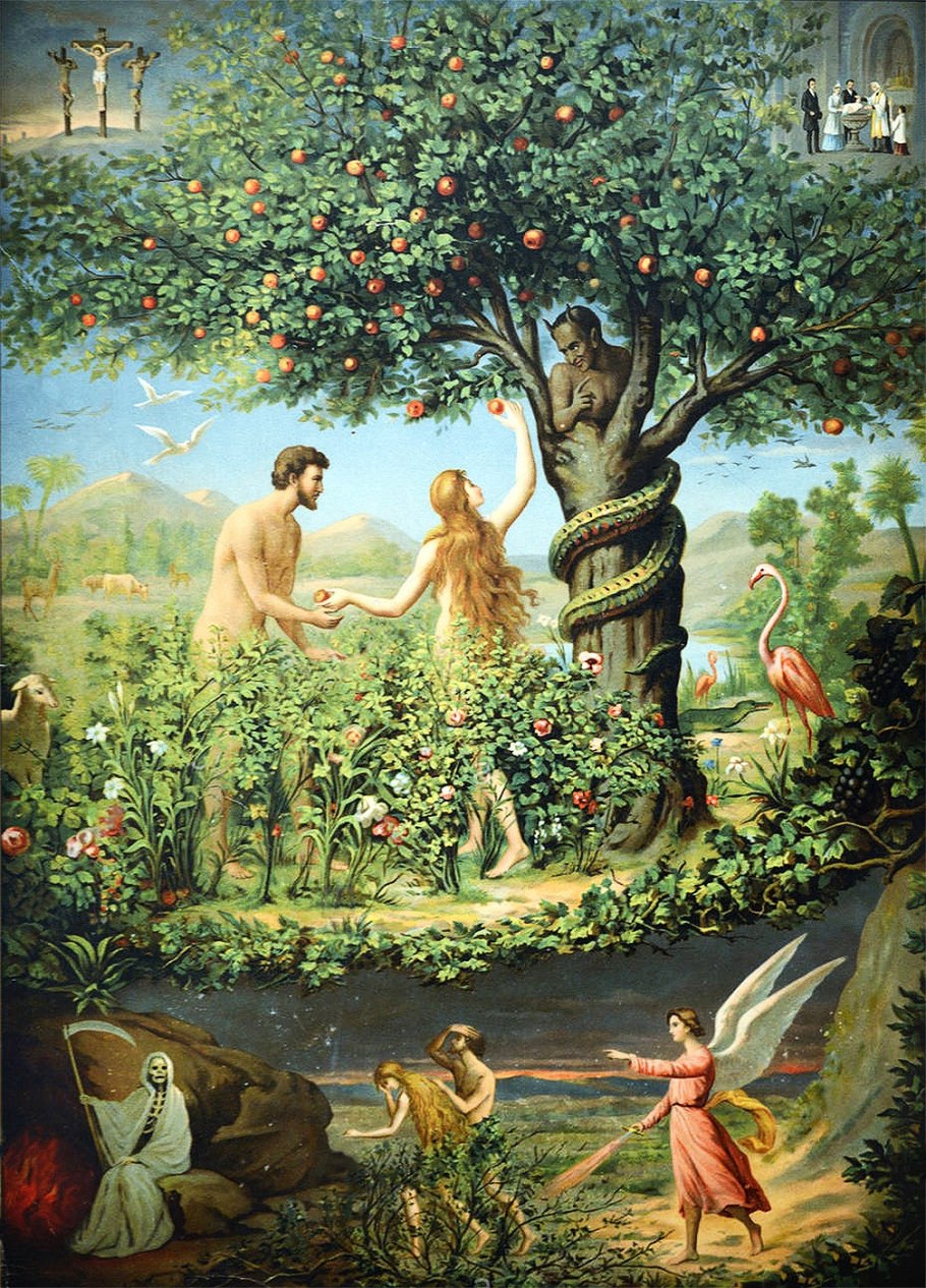 Коллекция природных материалов