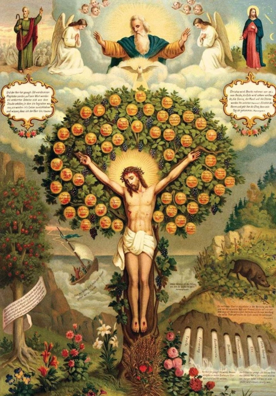 Дерево произрастающее книгами