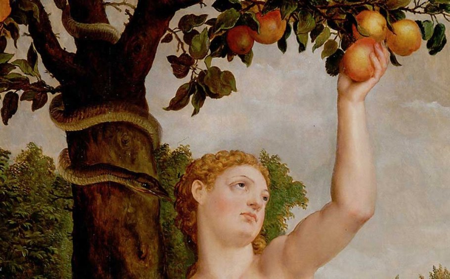 Дерево знаний