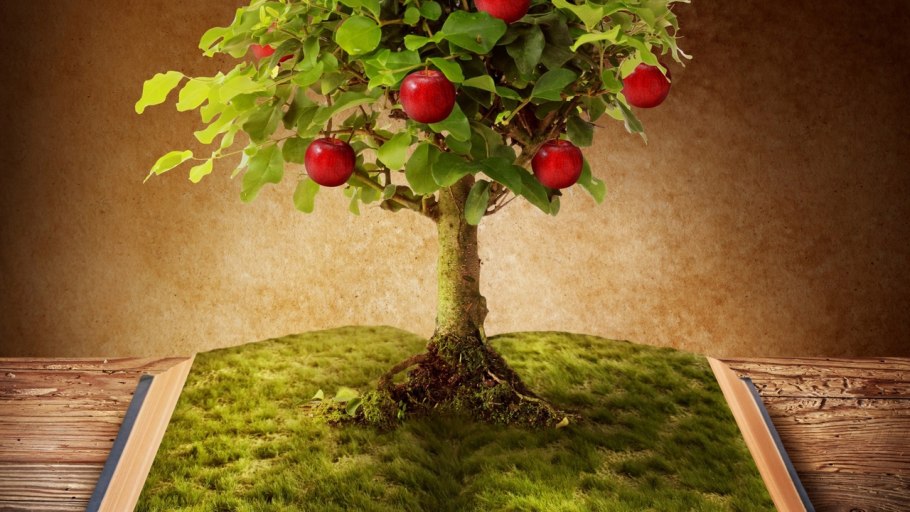 Красивое дерево с плодами