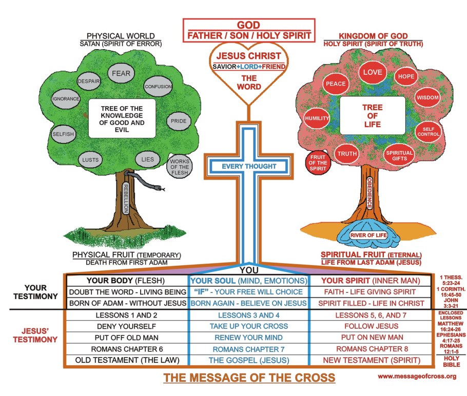 Древо жизни и Древо познания добра и зла