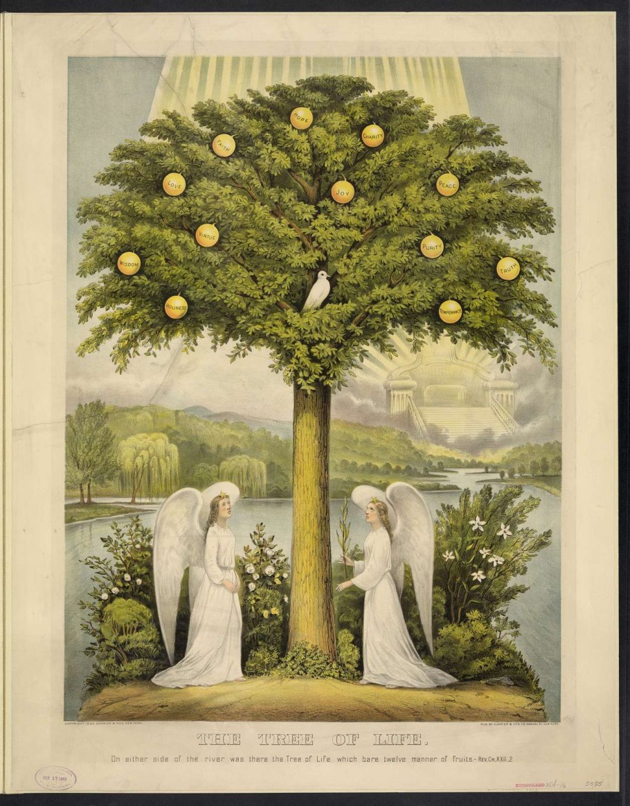 Эдем дерево жизни