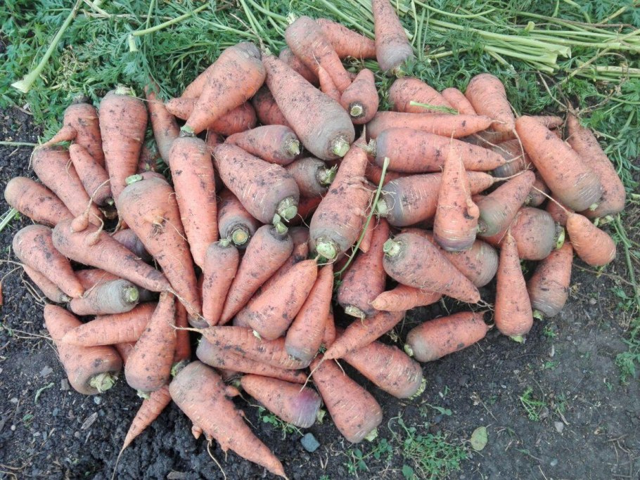 Торфо-Песчаная смесь