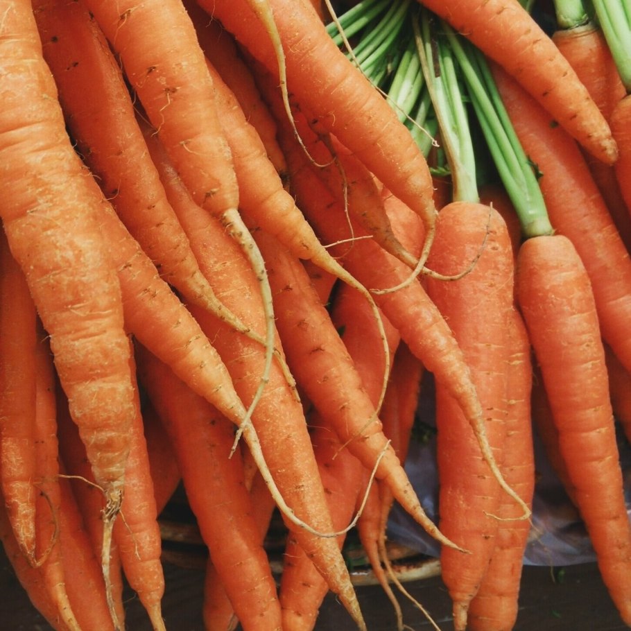 Маленькая морковка обнимает маму веган