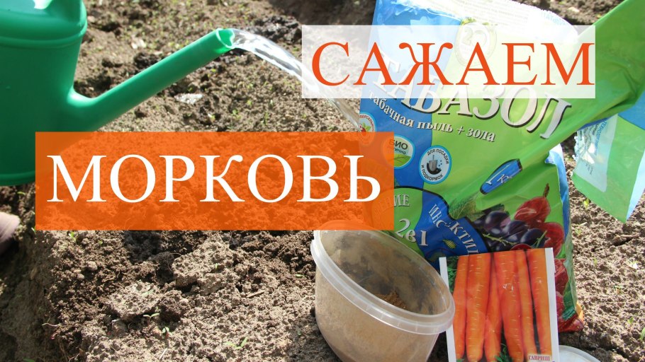 Морковь витамины и минералы таблица