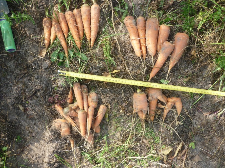 Перекопка почвы грядки