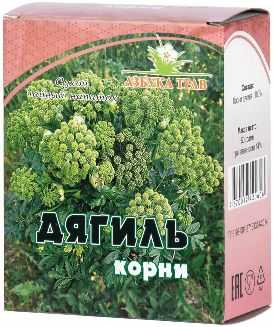 Дягиль фото крупным планом