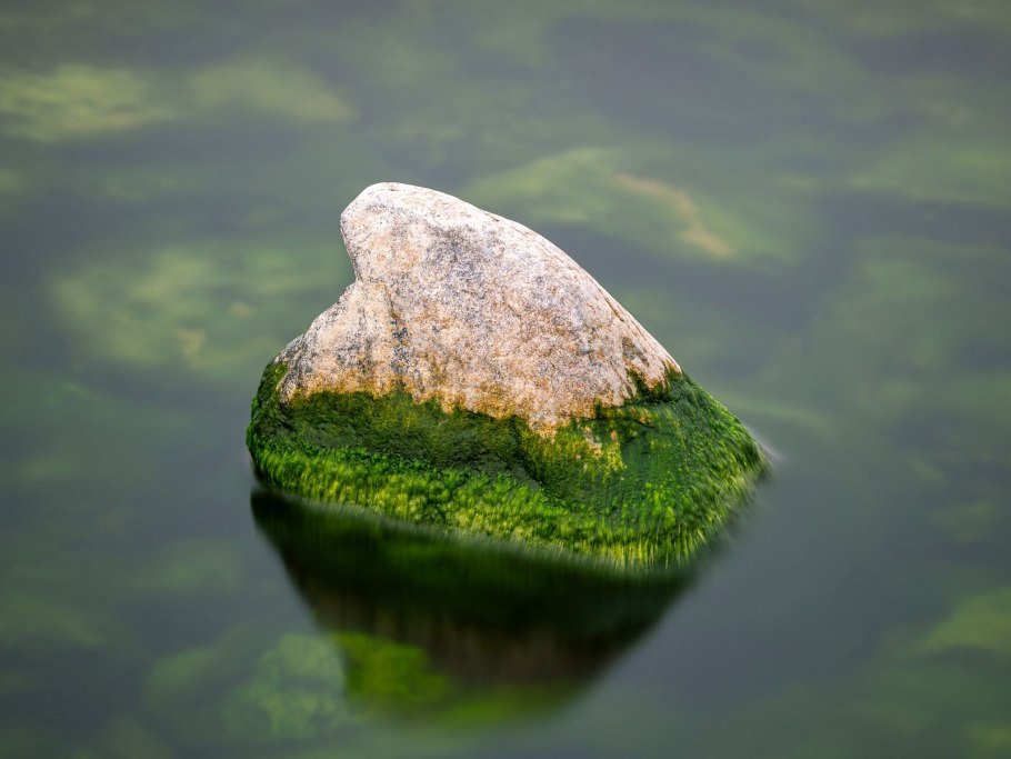 Камни в мху и воде