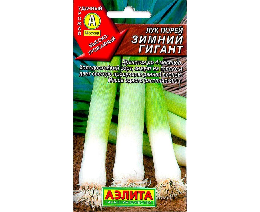 Лук порей слон Аэлита ц