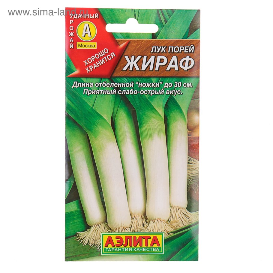 Лук батун Аэлита