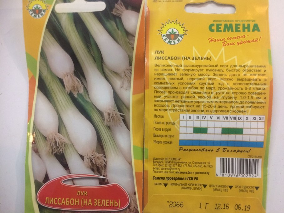 Семена лук порей Карантанский
