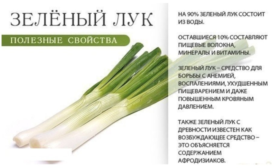 Лук зеленый семена названия