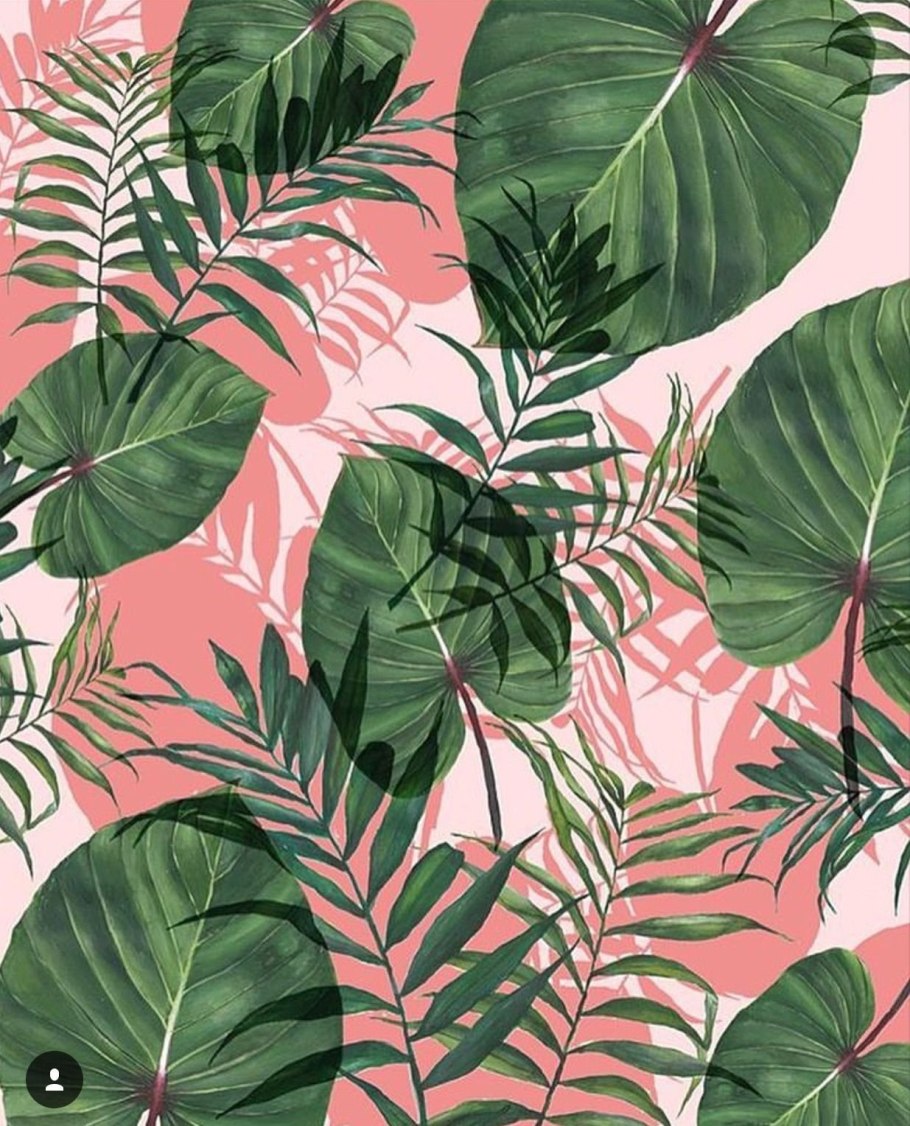 Cercom тропические листья